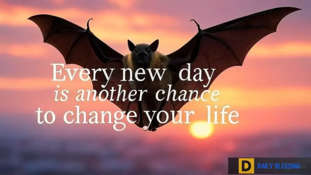 monday afternoon-blessings